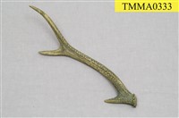 藏品(鹿角一隻)的圖片